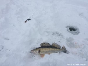 IMG_3680.JPG
