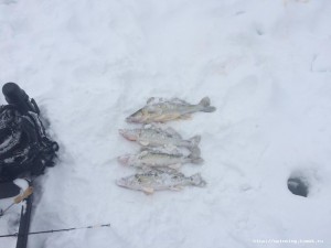 IMG_3681.JPG