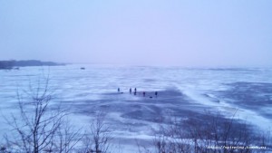 20170204172417.jpg