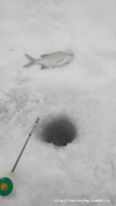 IMG-20170122-WA0003.jpg