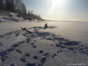 IMG_3714.JPG