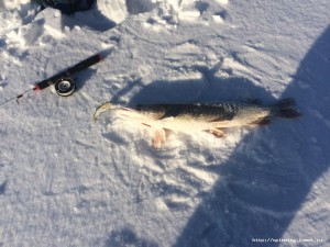 IMG_3718.JPG
