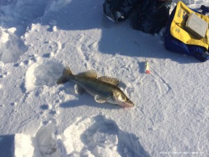 IMG_3722.JPG