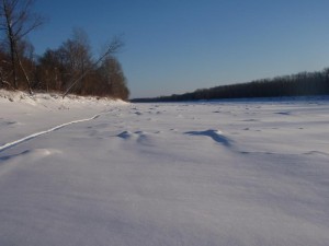 f12657-f71541.jpg