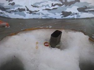 IMG_9258.JPG