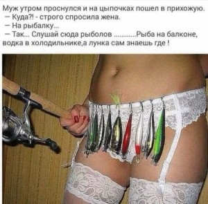 8.03.jpg