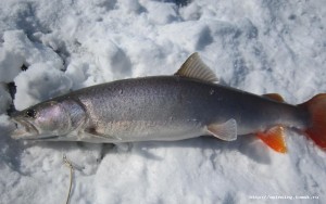 IMG_1510.JPG