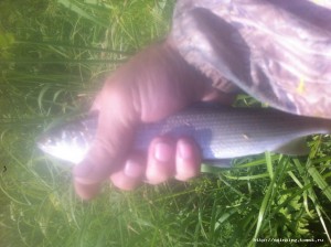 IMG_8337.JPG