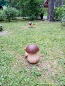 IMG_20180720_150958.jpg