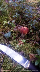IMG-20180808-WA0022.jpeg