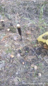 IMG-20180808-WA0017.jpeg