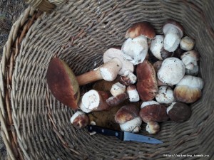 20180814_125308.jpg