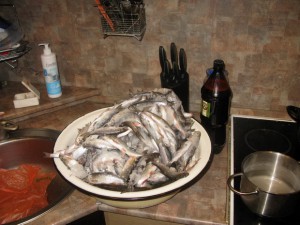 IMG_22351.jpg