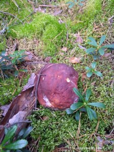 IMG-20180909-WA0003.jpg