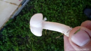 20180819_102407.jpg