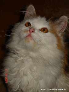DSC01449.JPG