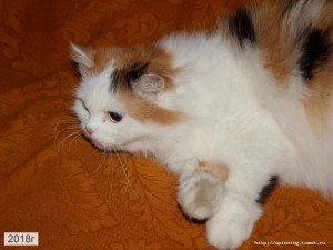 IMG_0760 - копия.jpg
