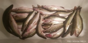 20190405_210636.jpg