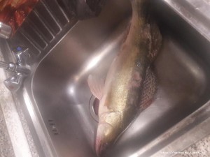 20190309_194733.jpg