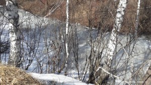 20190421_134147.jpg