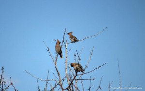 IMG_2333.JPG