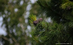 IMG_4126.JPG