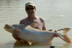 CatFish.jpg