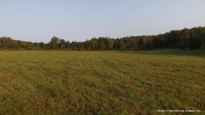 DSCF8799[1].JPG