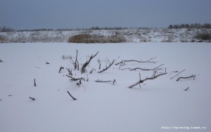 DSC00607.JPG