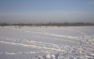 DSC00629.JPG