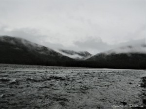 IMG_0358.jpg