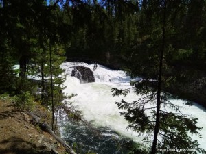 IMG_20200817_133539.jpg