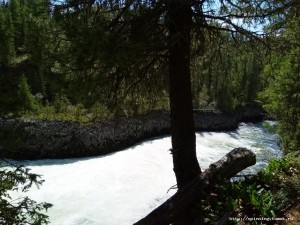 IMG_20200817_133550.jpg
