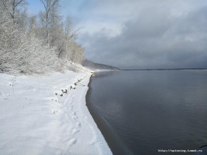 IMG_20201024_104133.jpg