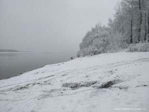 IMG_20201024_094208.jpg