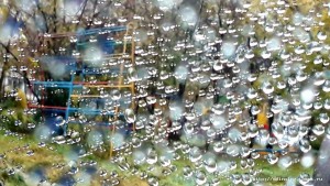20201008_155705.jpg