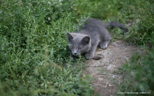 IMG_4258.JPG