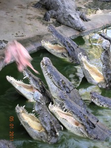кроки.1..jpg