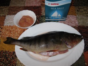 IMG_1387.jpg