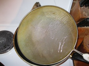 IMG_1389.jpg