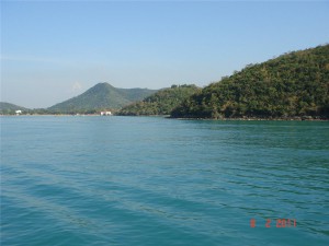 21f365d339bf.jpg