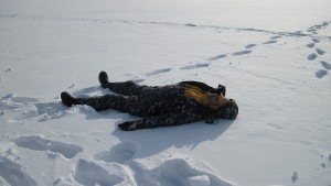 НВО.jpg