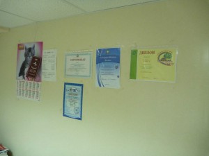 P1000948_thumb.jpg