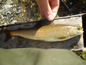 P9250043_.jpg