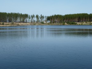 pic009.JPG