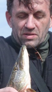 Целиком в пасти.JPG