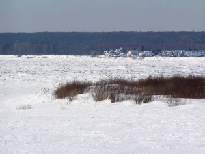 P1010143-600.jpg