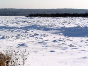P1010131-600.jpg
