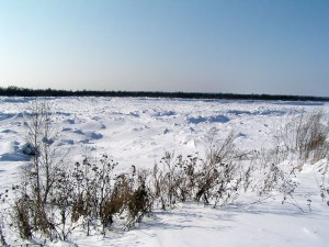 P1010130-600.jpg