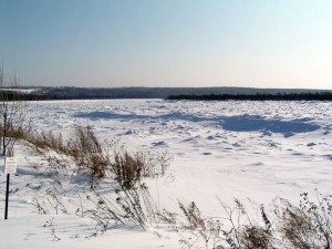 P1010129-600.jpg